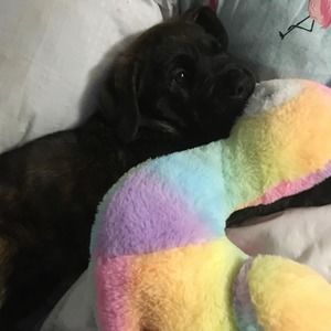 Meet your Posher, Ricki